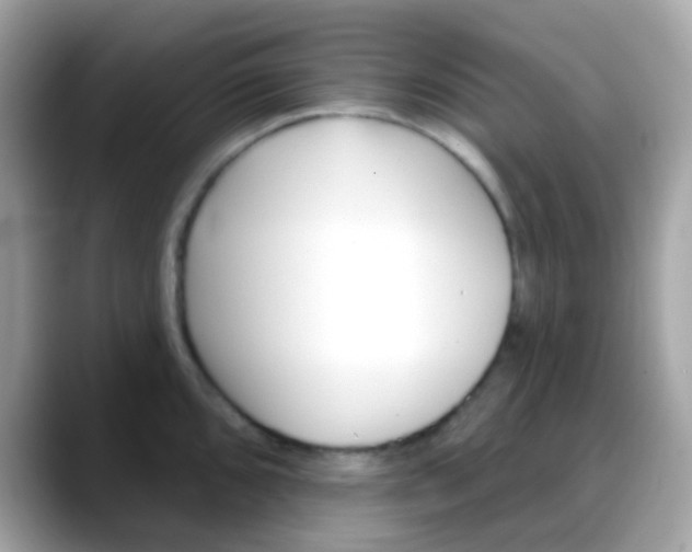 X0000088041096200706011319