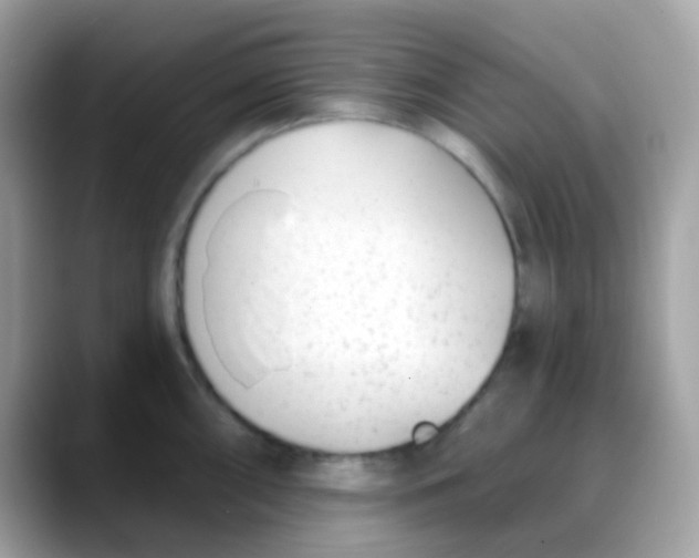 X0000088041098200706011319