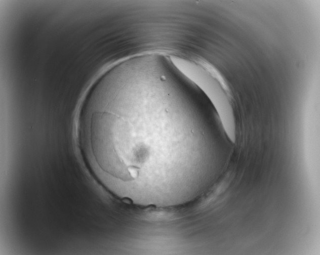 X0000088041099200706011319