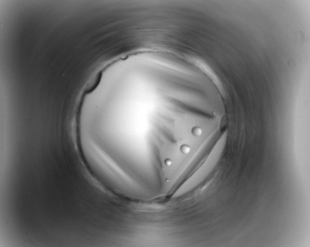 X0000088041100200706011319