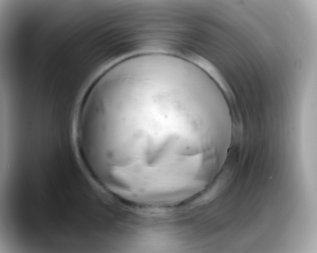 X0000088041101200706011319