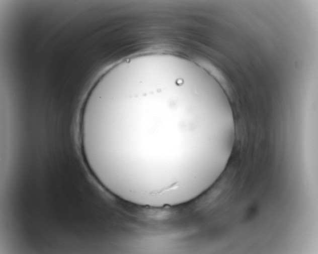 X0000088041103200706011319