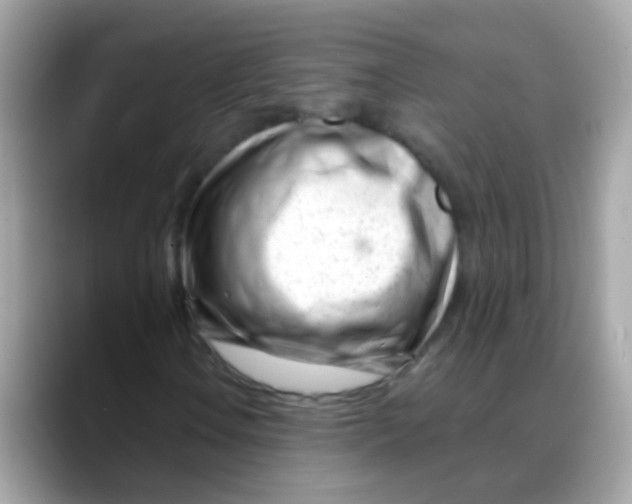 X0000088041106200706011319