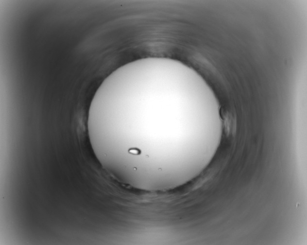 X0000088041107200706011319