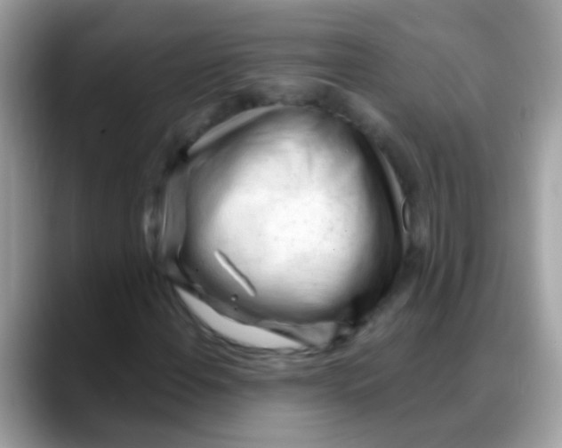 X0000088041108200706011319