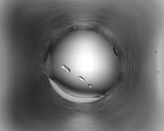 X0000088041109200706011319