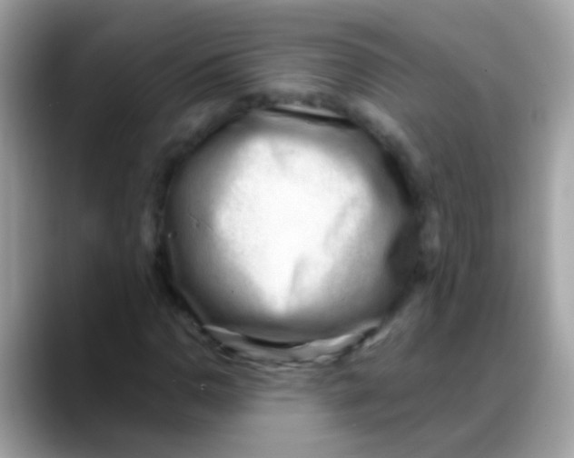 X0000088041110200706011319