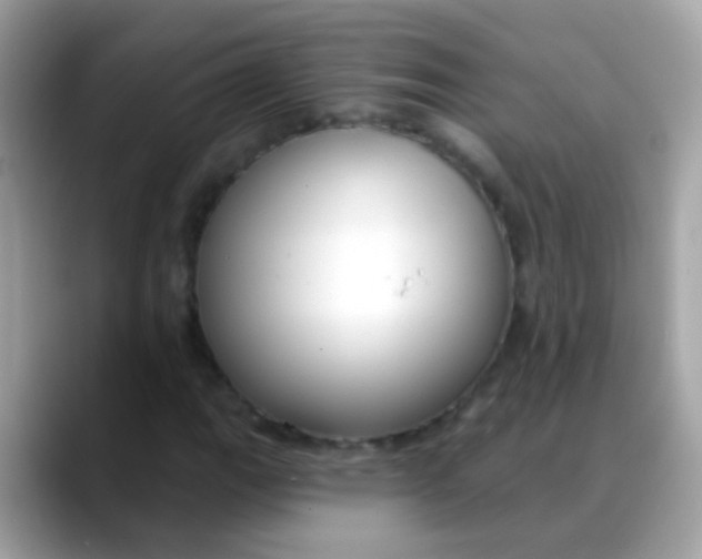 X0000088041111200706011319