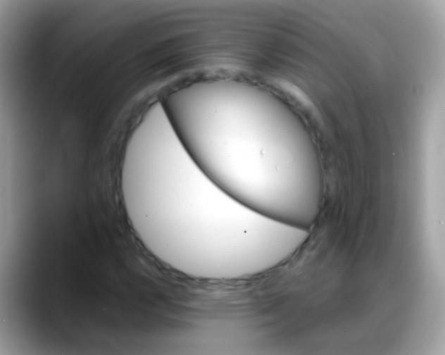 X0000088041112200706011319