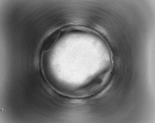 X0000088041114200706011319