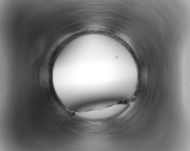 X0000088041115200706011319