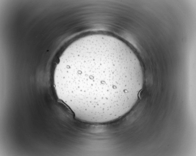 X0000088041116200706011319