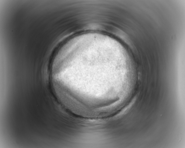 X0000088041117200706011319