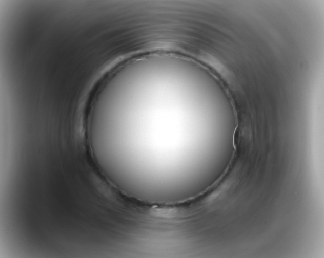 X0000088041118200706011319