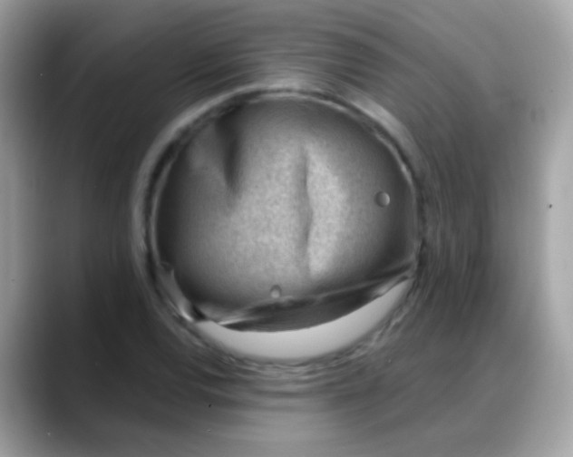 X0000088041120200706011319