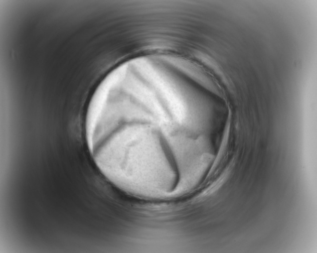 X0000088041121200706011319