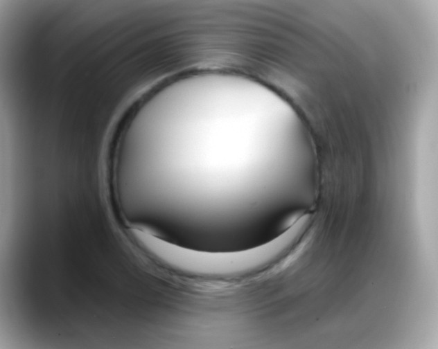 X0000088041122200706011319