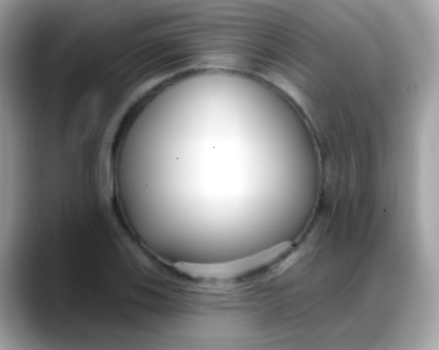 X0000088041123200706011319