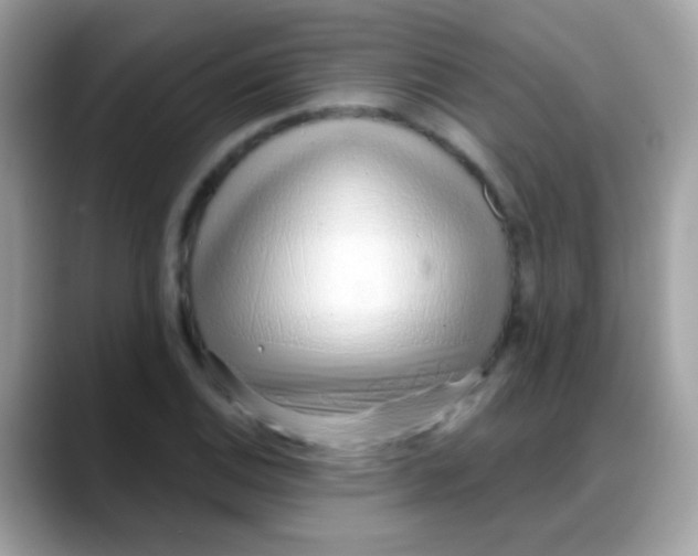 X0000088041124200706011319