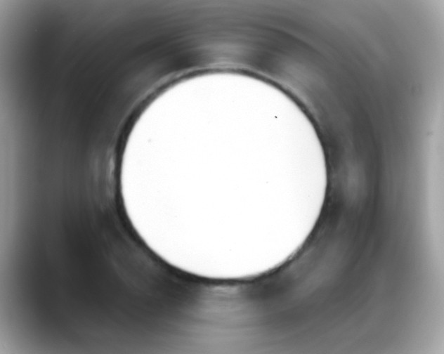 X0000088041126200706011319