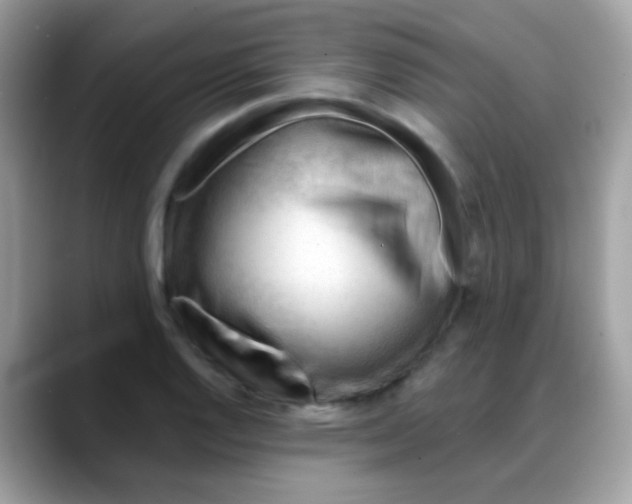 X0000088041128200706011319