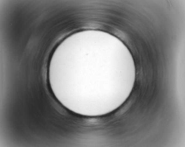 X0000088041130200706011319