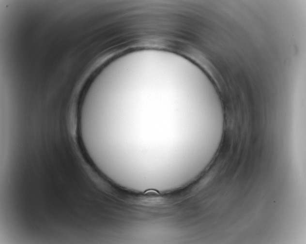 X0000088041131200706011319