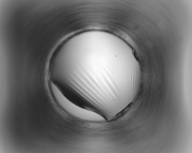 X0000088041132200706011319