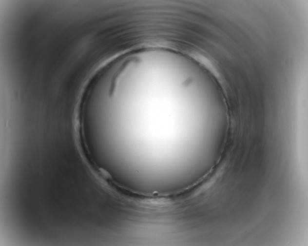 X0000088041133200706011319