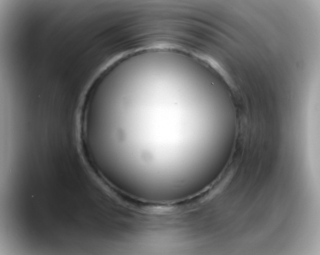 X0000088041134200706011319