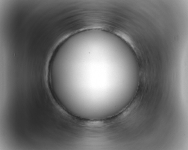 X0000088041135200706011319