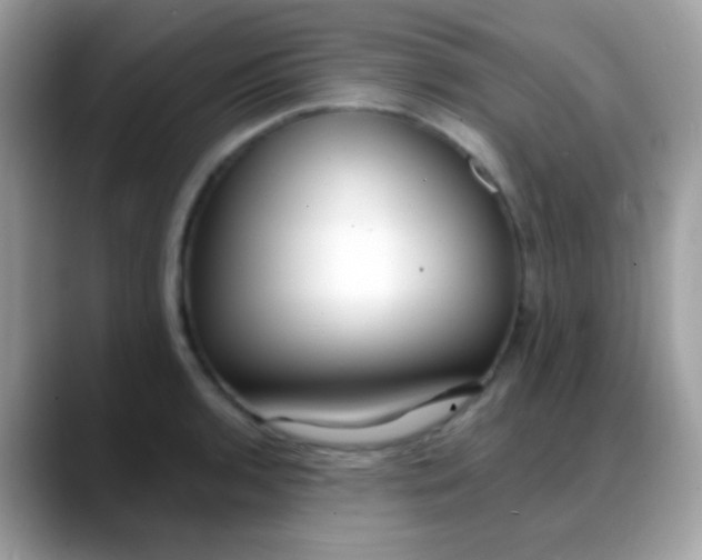 X0000088041136200706011319