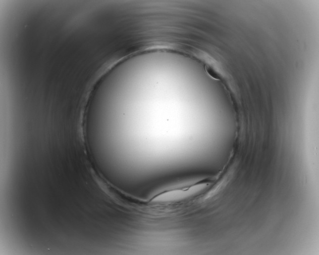 X0000088041137200706011319