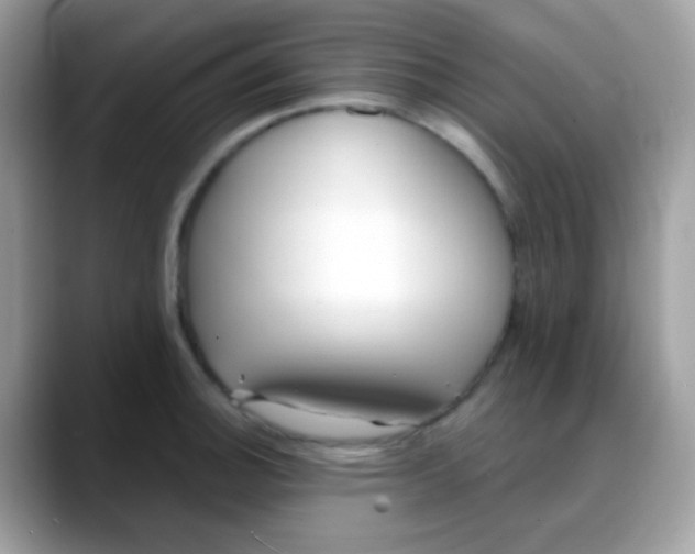 X0000088041140200706011319