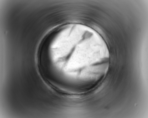 X0000088041141200706011319