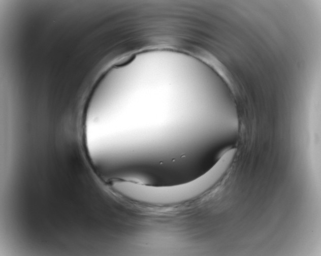 X0000088041143200706011319