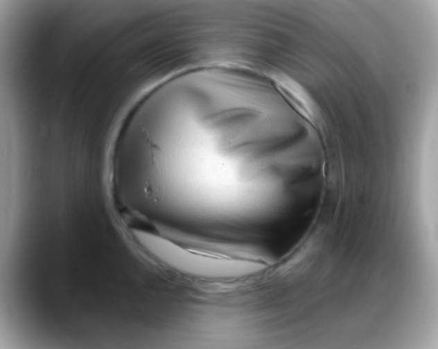 X0000088041144200706011319