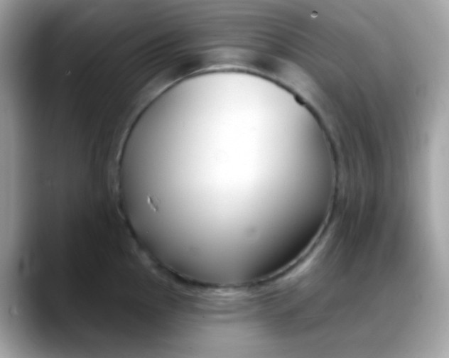 X0000088041145200706011319