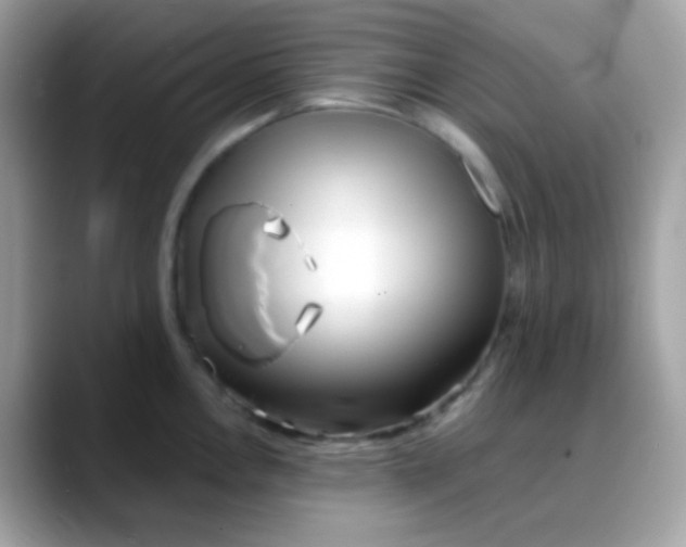 X0000088041146200706011319