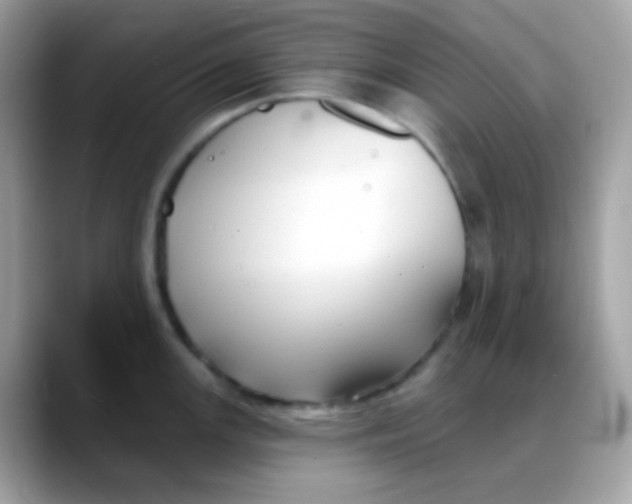 X0000088041147200706011319