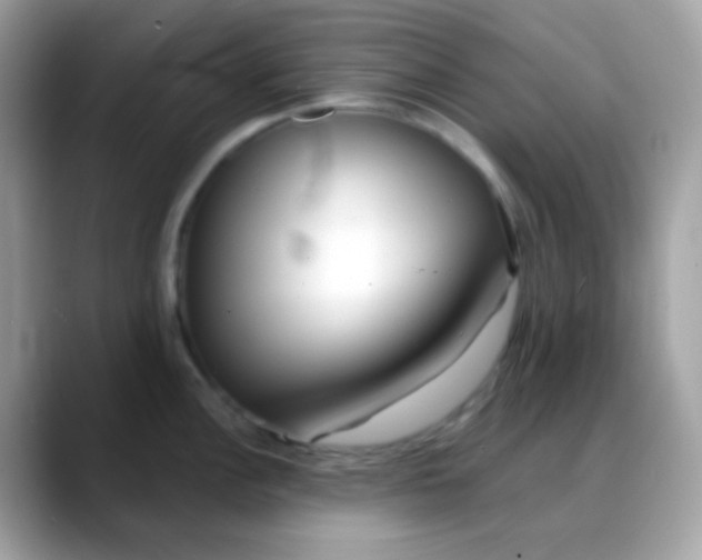 X0000088041148200706011319