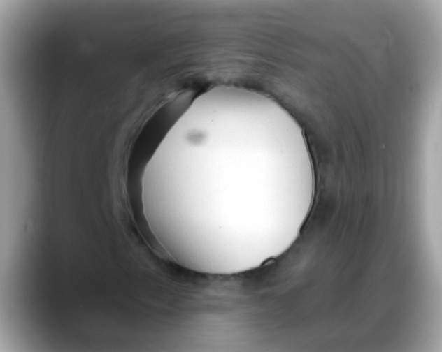 X0000088041153200706011319