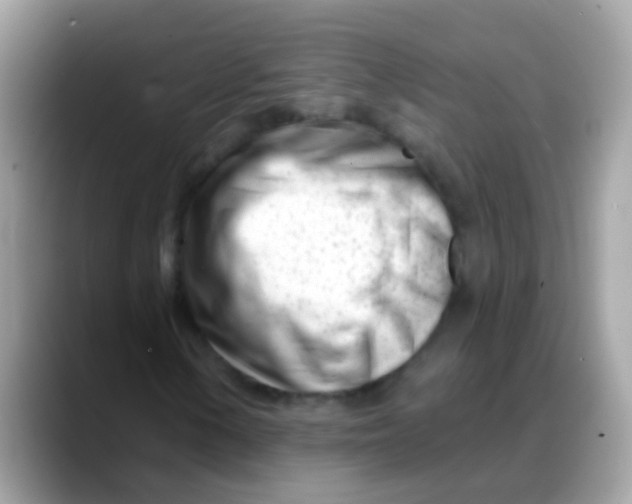 X0000088041154200706011319