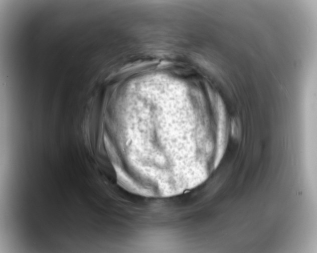 X0000088041155200706011318