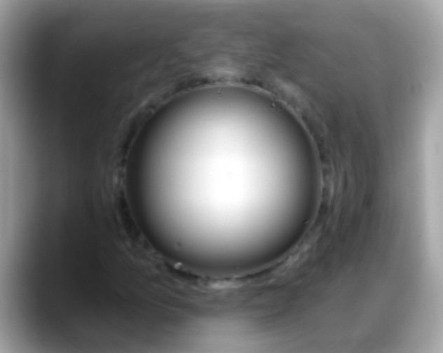 X0000088041157200706011318