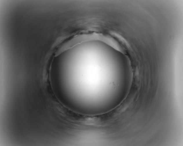 X0000088041160200706011318