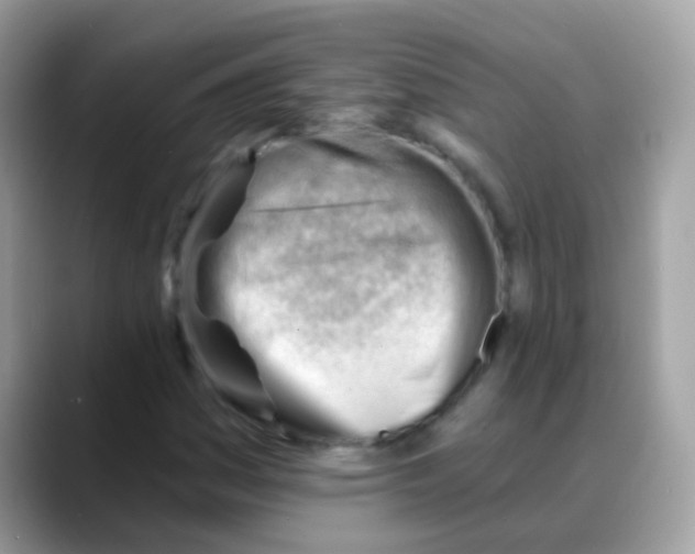 X0000088041161200706011318