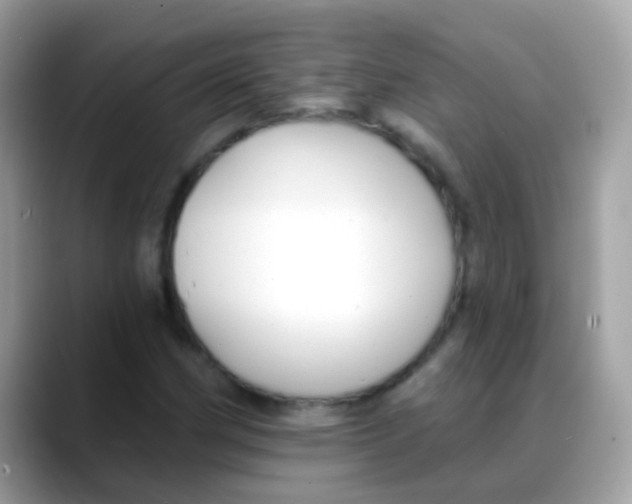 X0000088041162200706011318