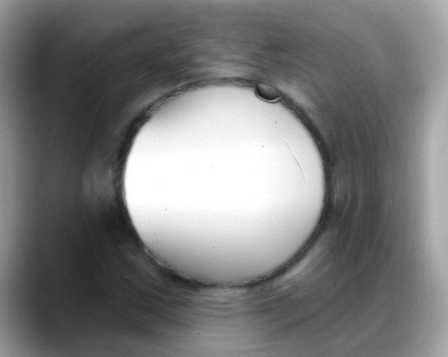 X0000088041163200706011318