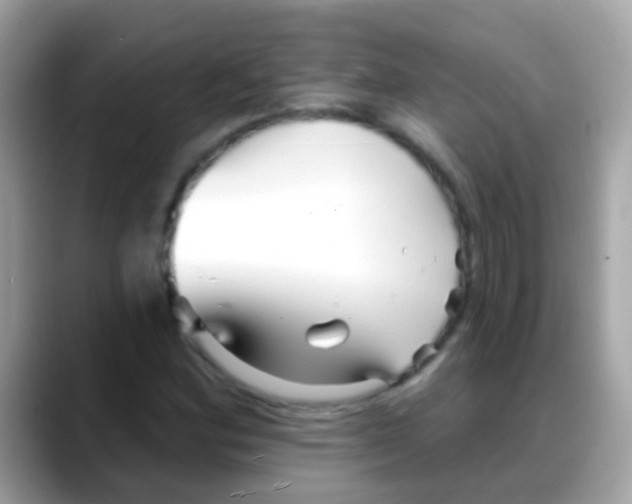 X0000088041164200706011318